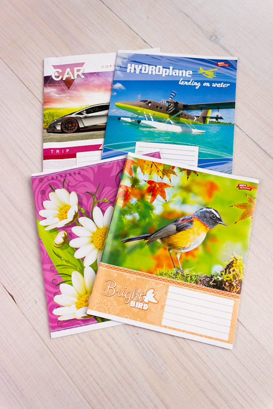 Зошит 18 аркушів в клітинку (глянець)